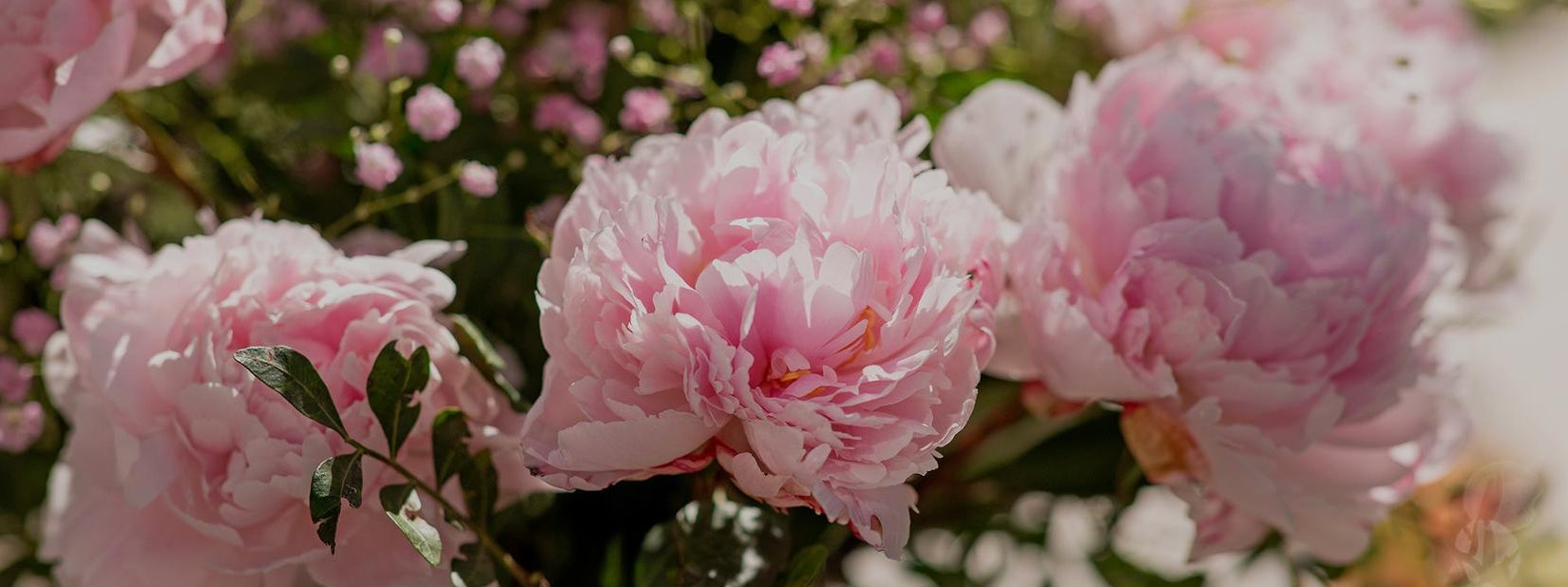 Overrask med en blomstrende hilsen